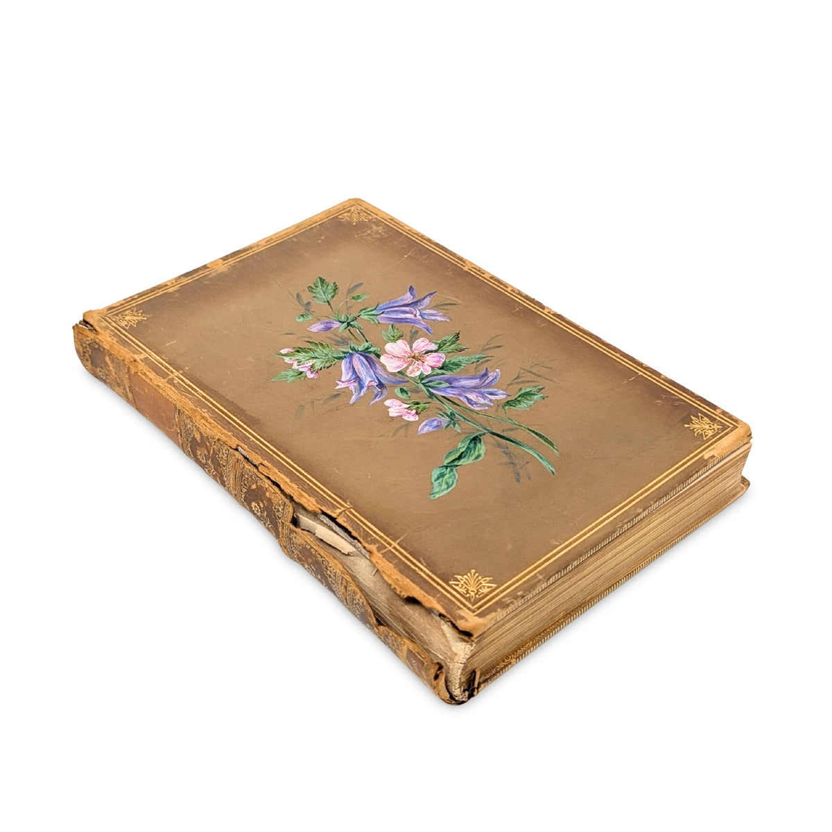 Familiar Wildflowers by F. Edward Hulme, First Series W/ Hand Painted Cover