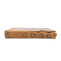 Familiar Wildflowers by F. Edward Hulme, First Series W/ Hand Painted Cover