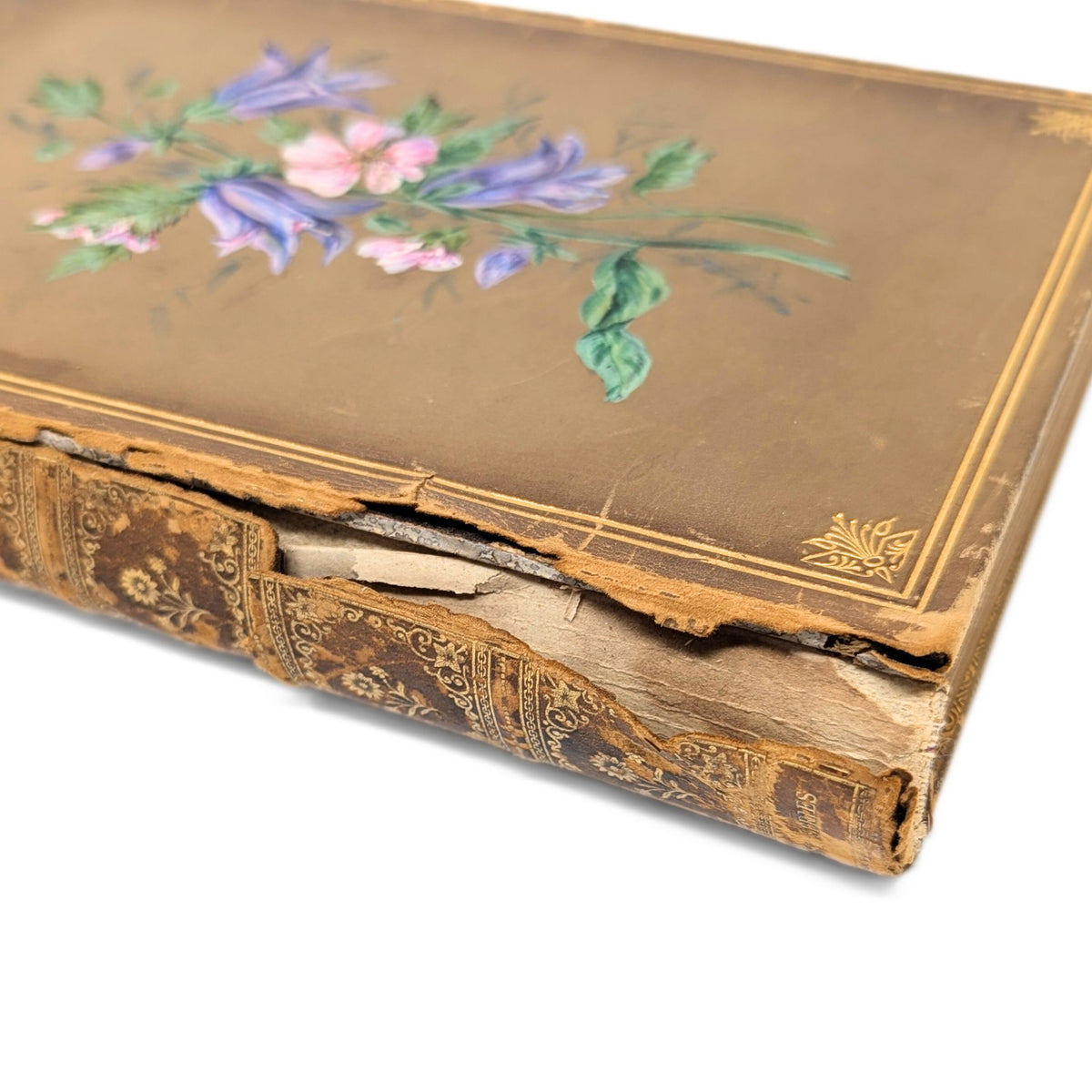 Familiar Wildflowers by F. Edward Hulme, First Series W/ Hand Painted Cover
