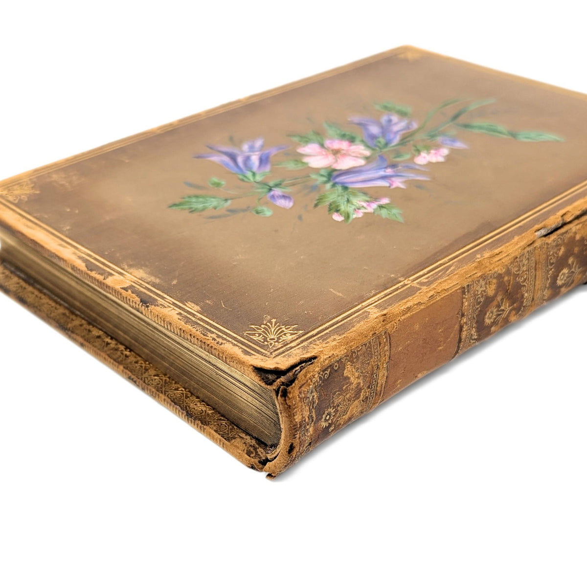 Familiar Wildflowers by F. Edward Hulme, First Series W/ Hand Painted Cover