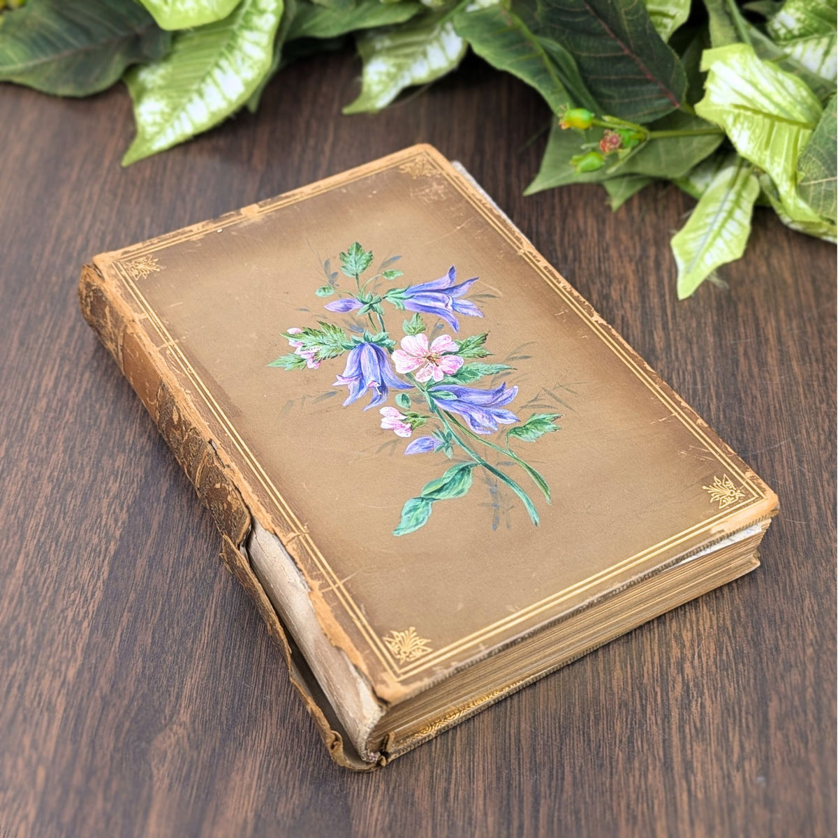 Familiar Wildflowers by F. Edward Hulme, First Series W/ Hand Painted Cover