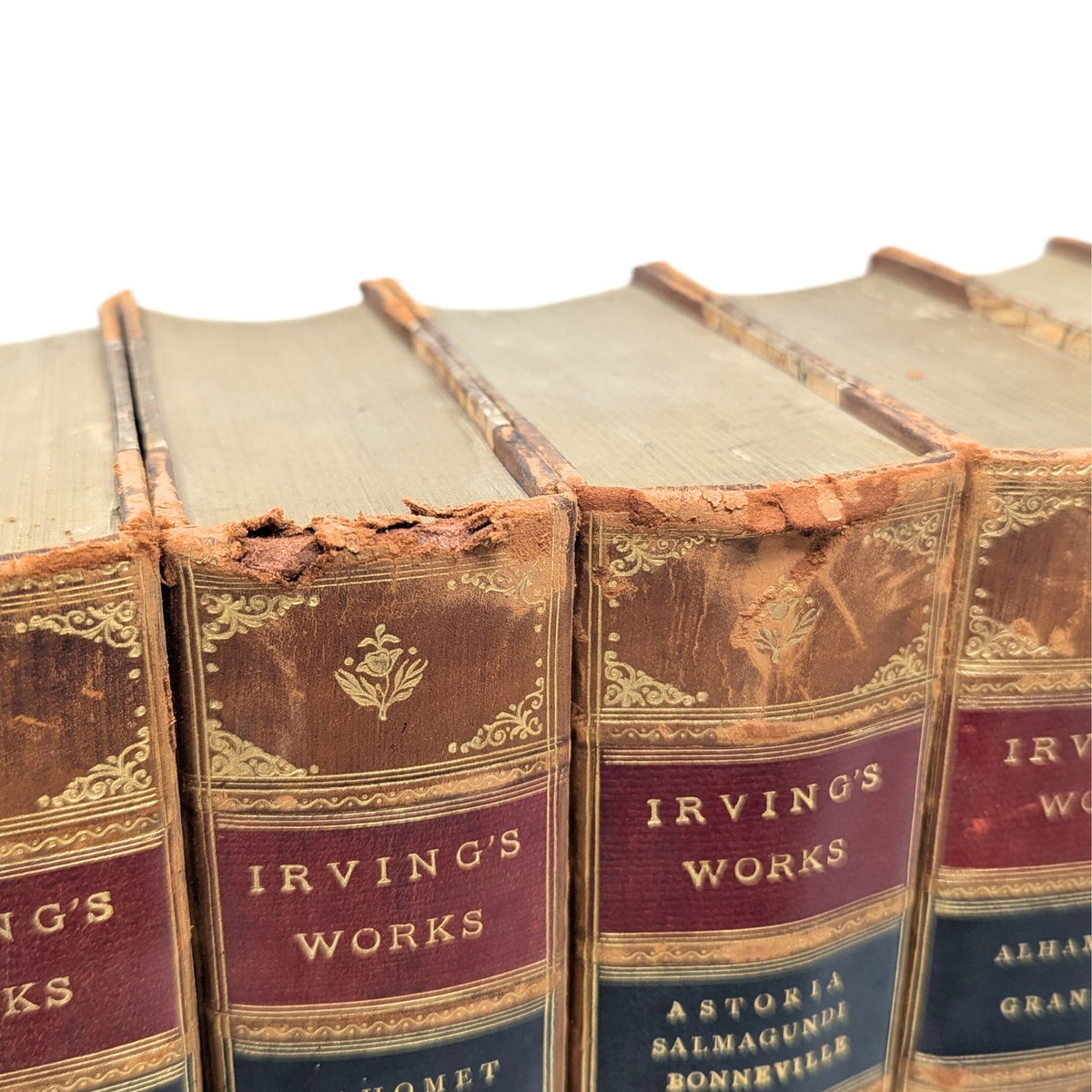 Irving's Works, Illustrated Sterling Edition, c. 1900 (9 Books)