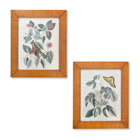 Marc Catesby Etchings Hand-Colored by Thomas Williams (Pair)