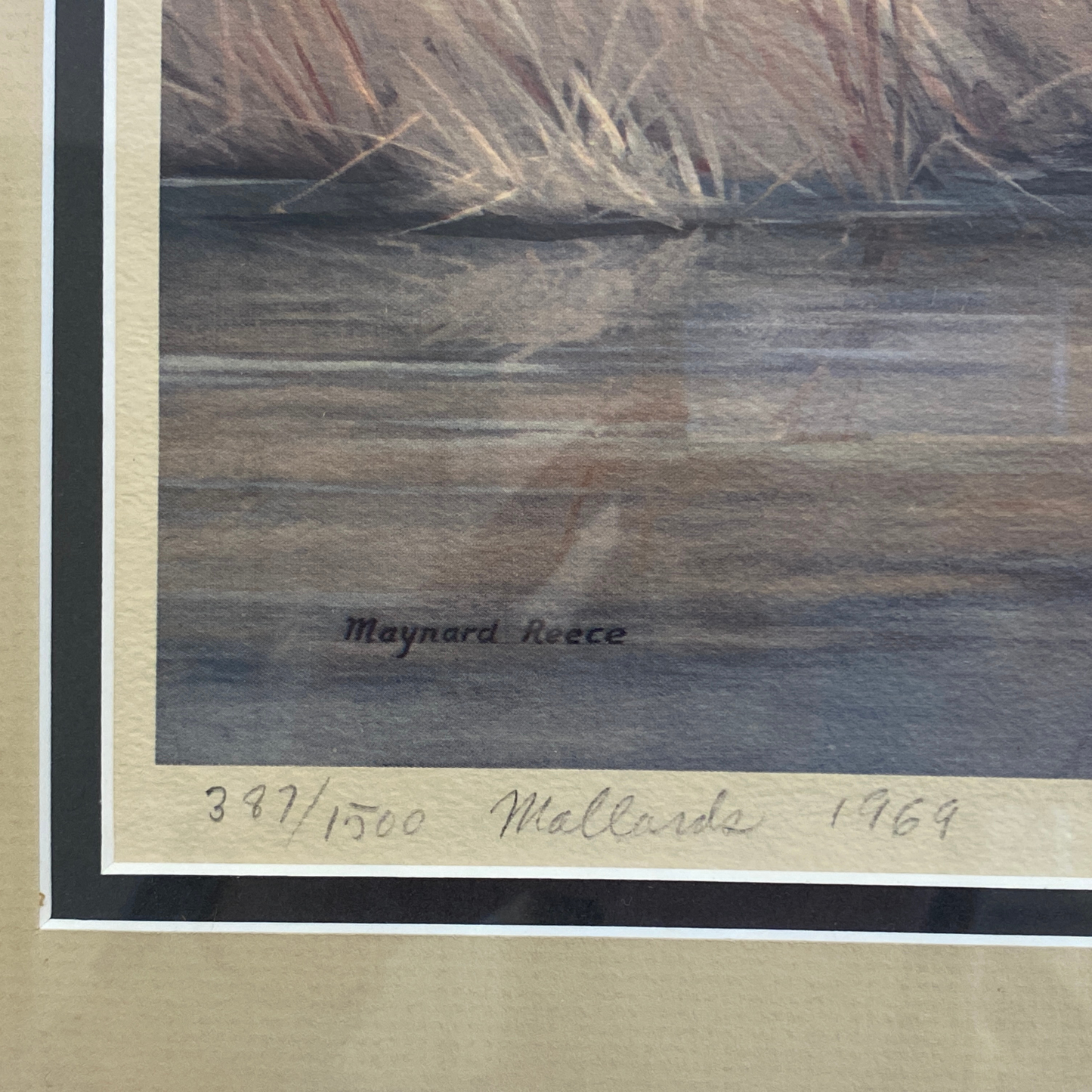 Maynard Reece "Mallards" Signed & Framed Print