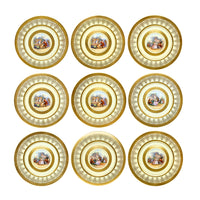 TK Thun Bohemia/Omeco Czechoslovakia 11" Cabinet Plates (9)