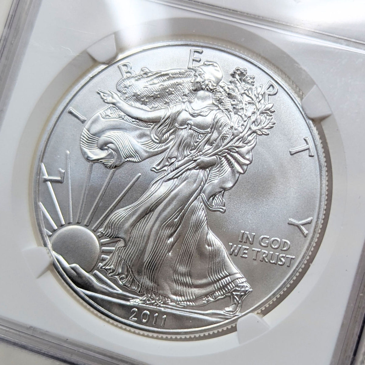 2011 NGC MS70 Early Release 25th Anniversary Label Silver Eagle