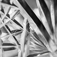 J. Hoare & Co. Signed ABP Cut Glass Water Goblet