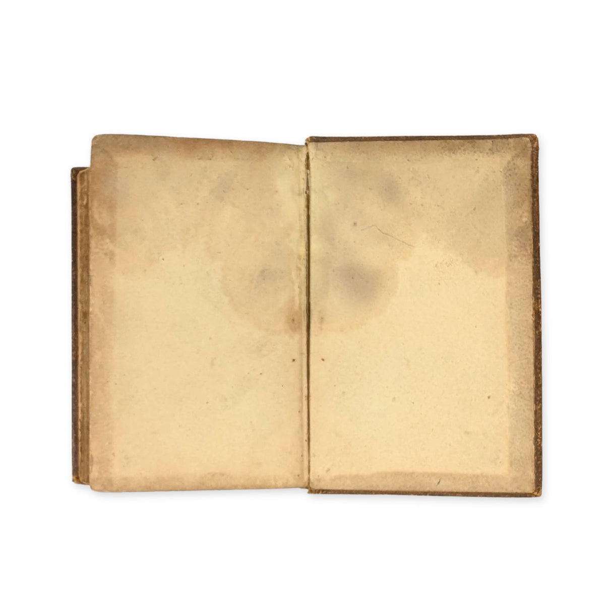 English Version of the Polyglott Bible, 1849