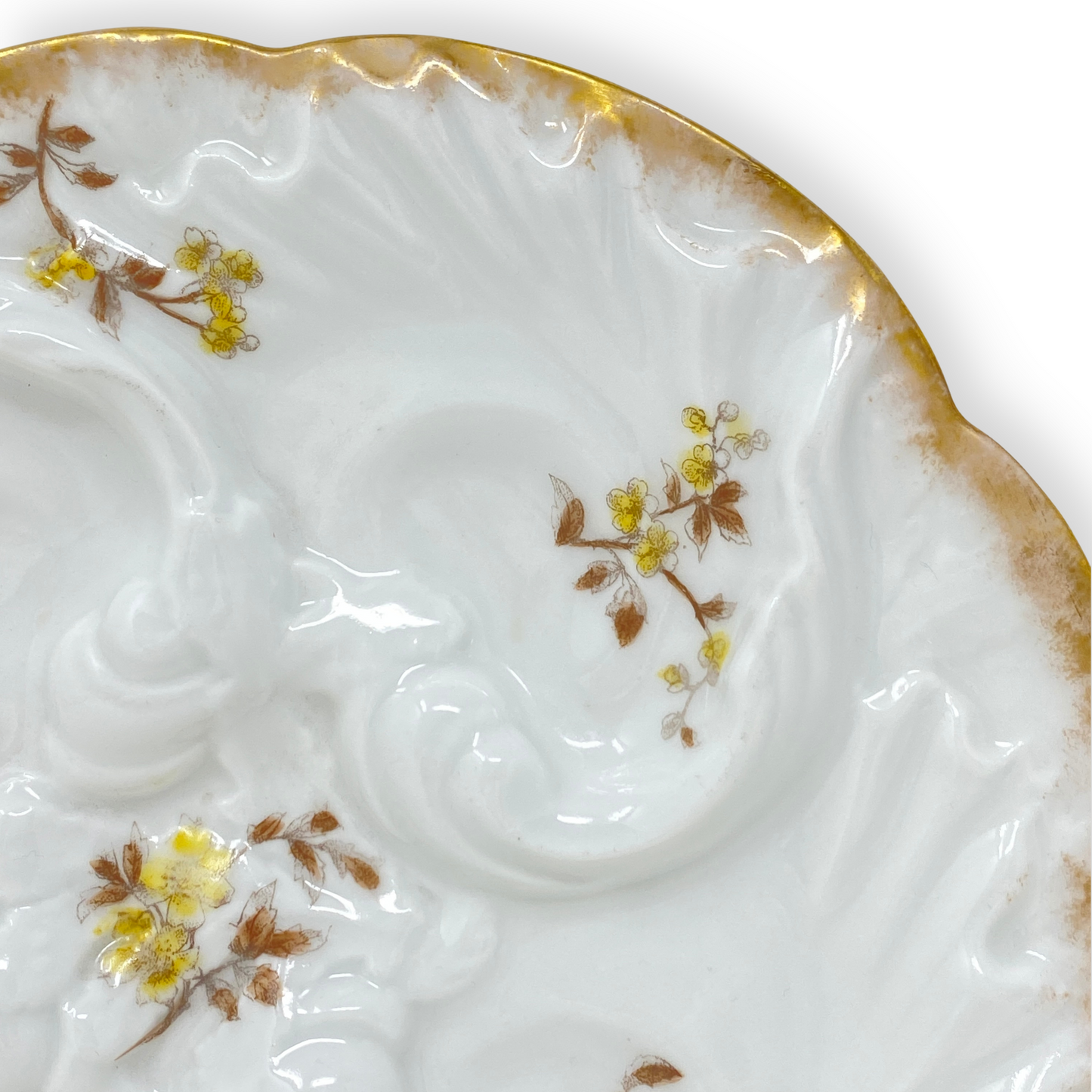 Charles Field Haviland Limoges Lady's Oyster Plate
