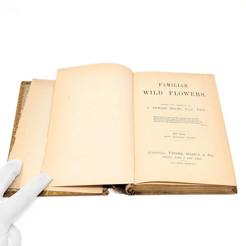 Familiar Wildflowers by F. Edward Hulme, First Series W/ Hand Painted Cover