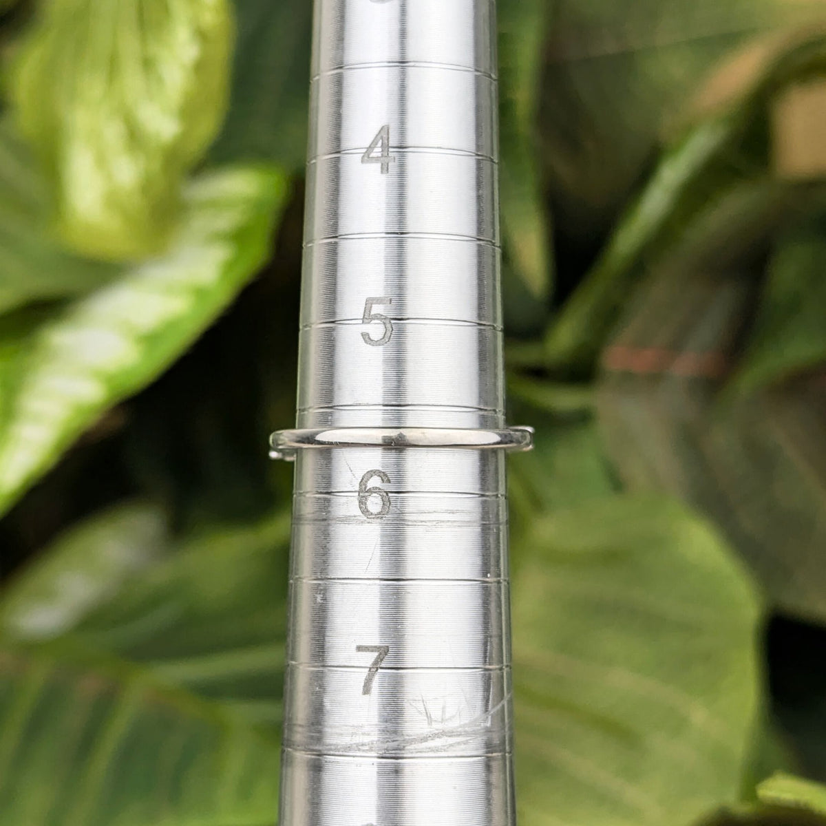 Rosy Blue 10K White Gold .25tcw Diamond Anniversary Band - Size 5.75