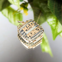 12K Gold Mad Money Caged US Dollar Pendant/Charm