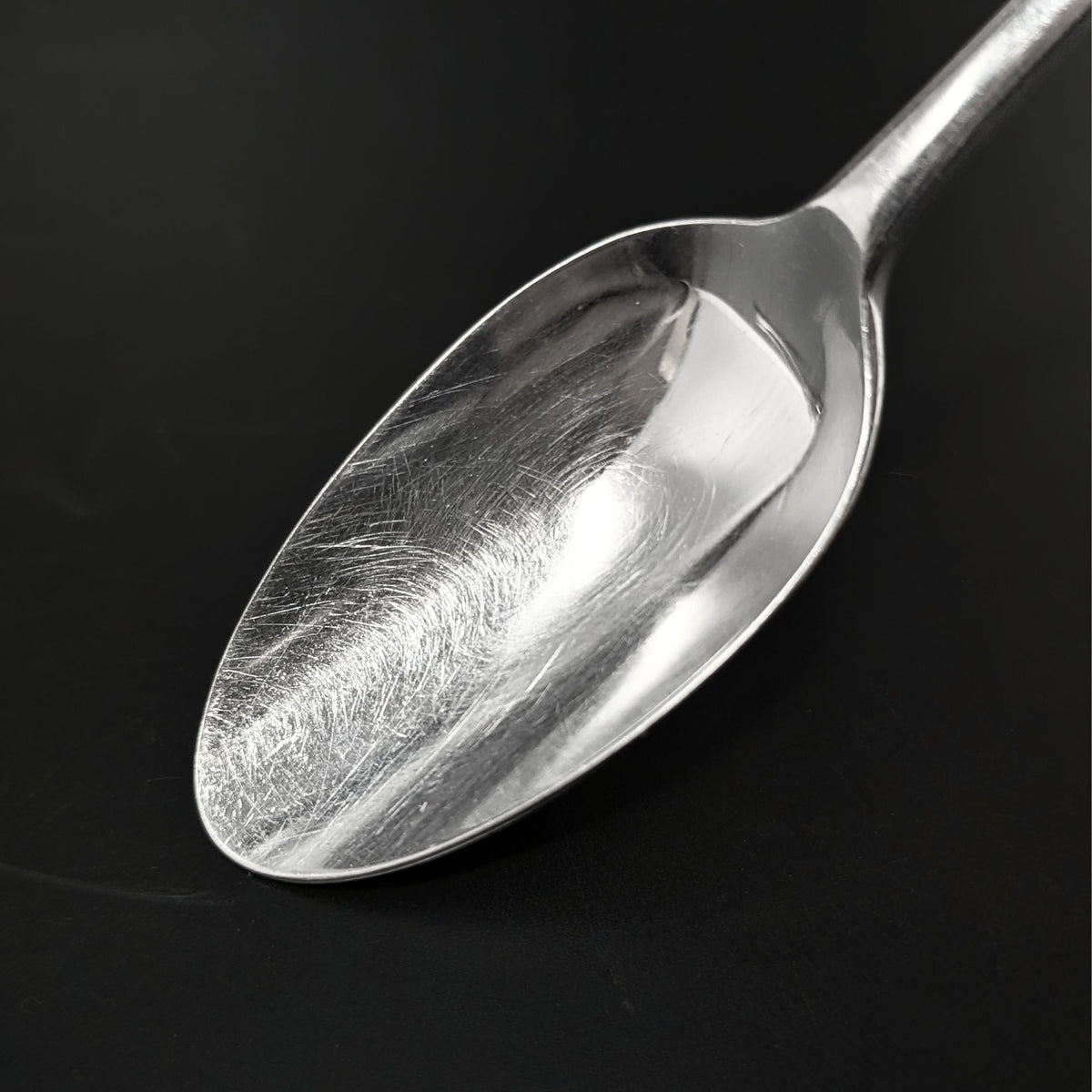 Kirk Stieff "Williamsburg Royal Shell" Stainless 17pc Flatware Set