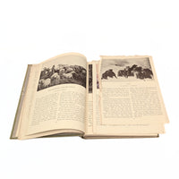 The Home University Bookshelf, Volumes 1-4 & 7-9, Published 1927 (7 Books)