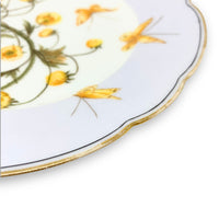 Hand Painted Haviland & Co. Wildflower & Butterfly Plates ca. 1870 (Set of 12)