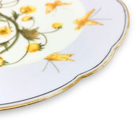 Hand Painted Haviland & Co. Wildflower & Butterfly Plates ca. 1870 (Set of 12)