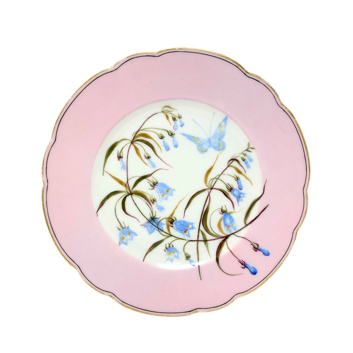 Hand Painted Haviland & Co. Wildflower & Butterfly Plates ca. 1870 (Set of 12)