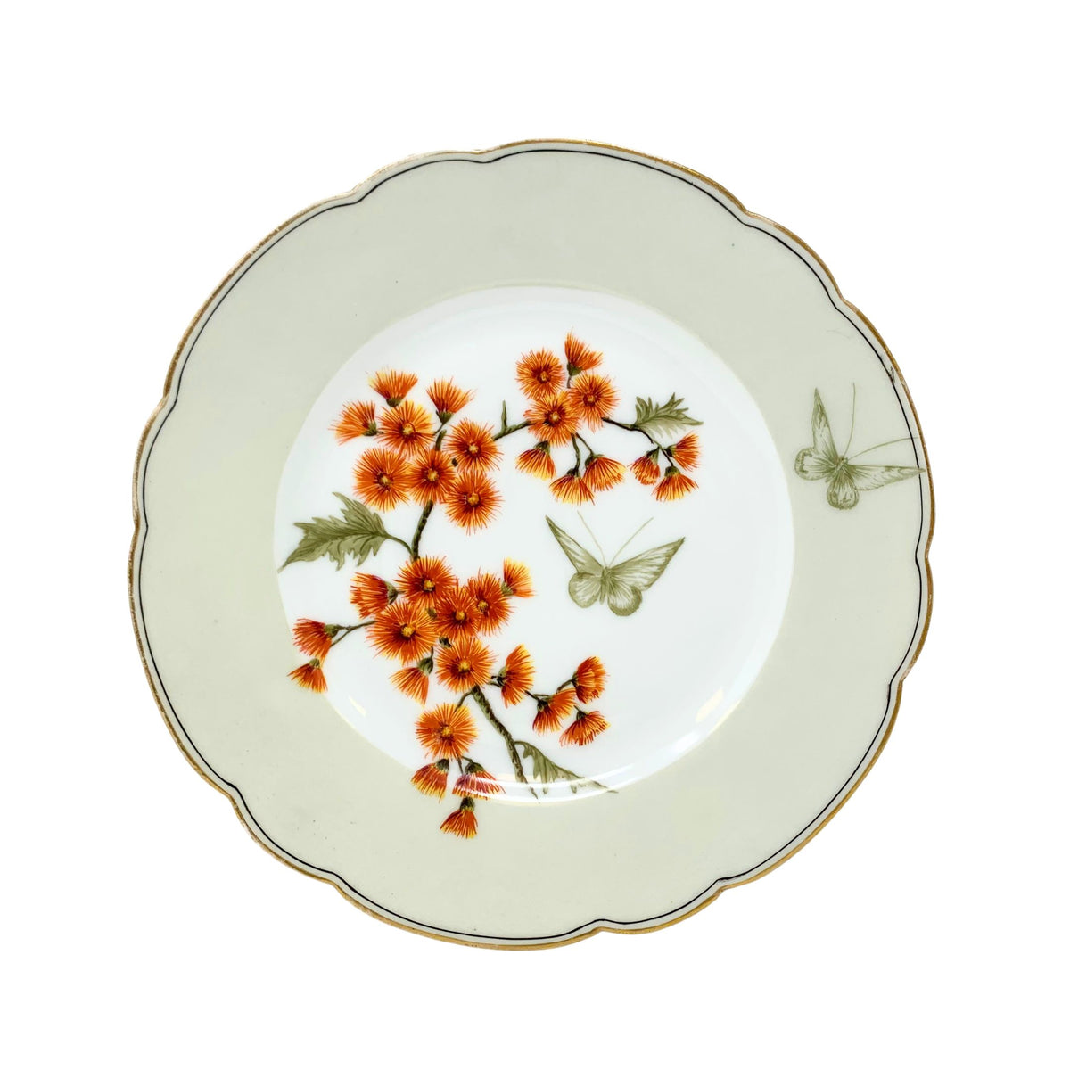 Hand Painted Haviland & Co. Wildflower & Butterfly Plates ca. 1870 (Set of 12)