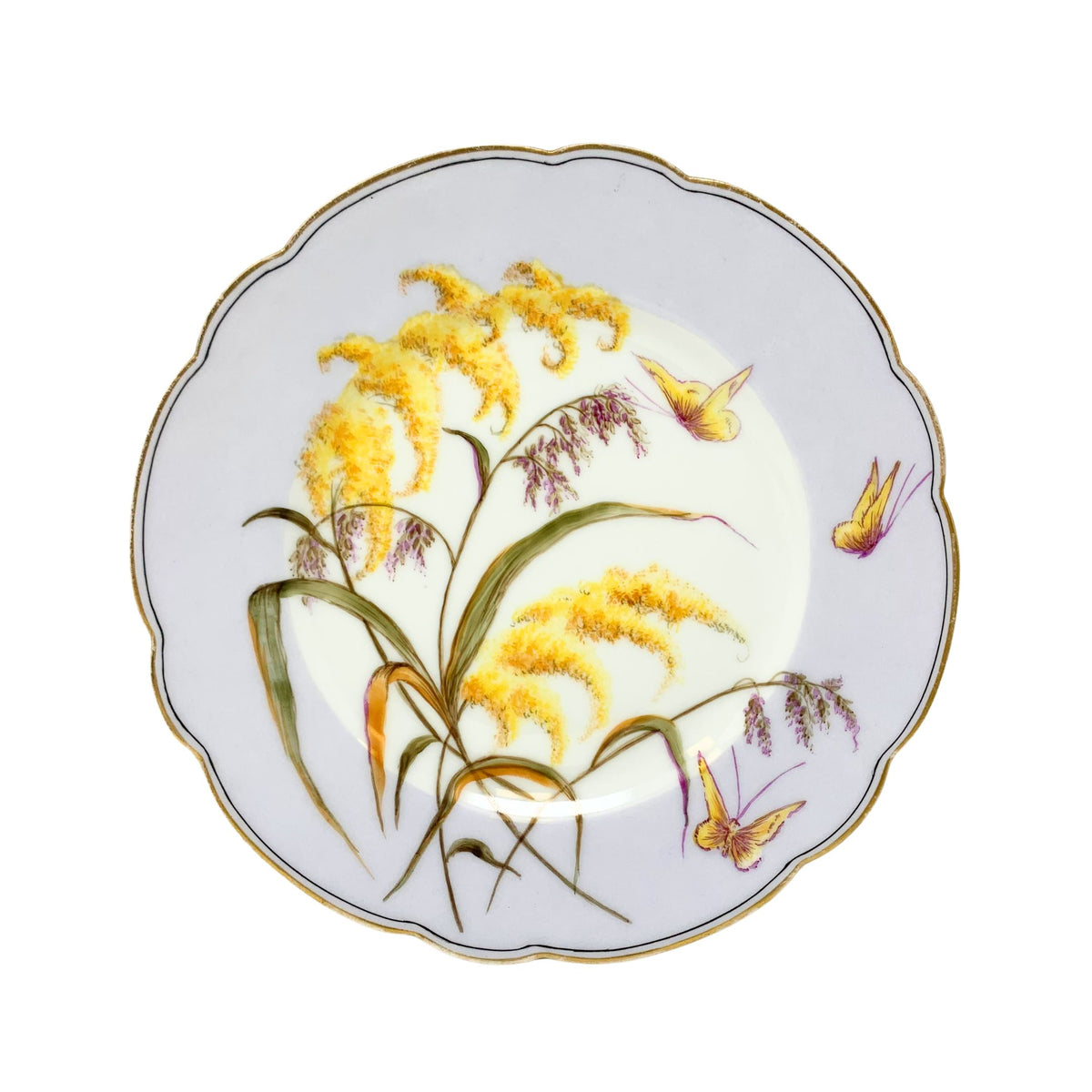 Hand Painted Haviland & Co. Wildflower & Butterfly Plates ca. 1870 (Set of 12)