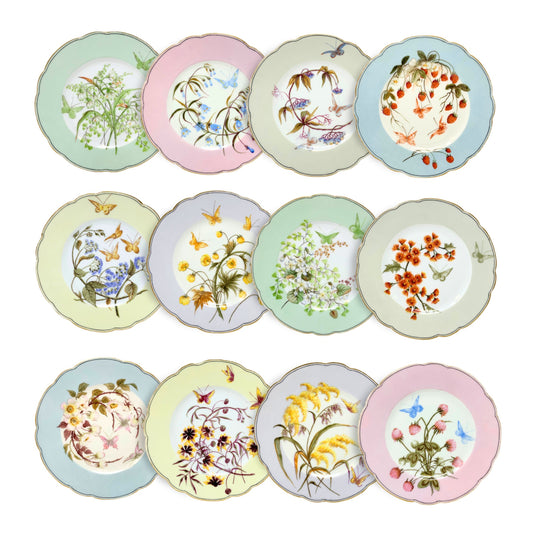 Hand Painted Haviland & Co. Wildflower & Butterfly Plates ca. 1870 (Set of 12)