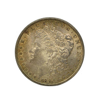 1882 Morgan Silver Dollar