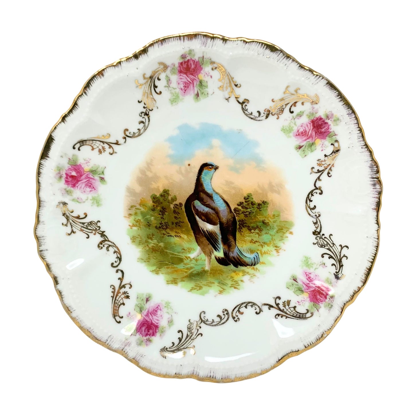 Antique Bavaria Germany Game Bird Plates (4)