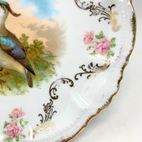 Antique Bavaria Germany Game Bird Plates (4)