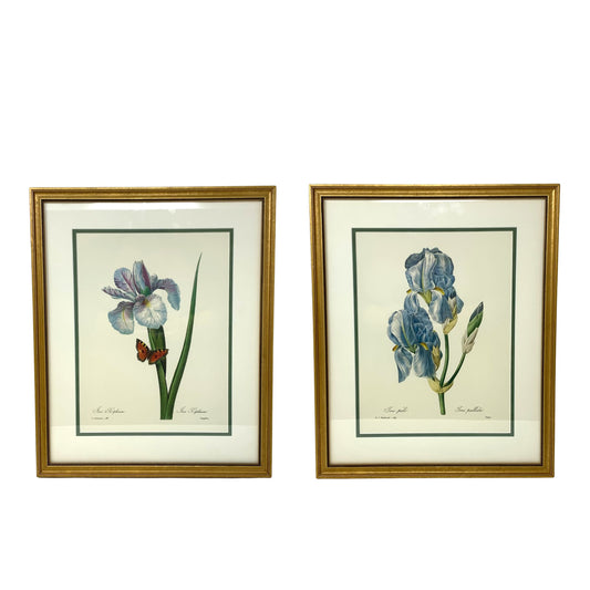 Framed & Matted Iris Botanical Prints by Pierre Joseph Redoute (Pair)