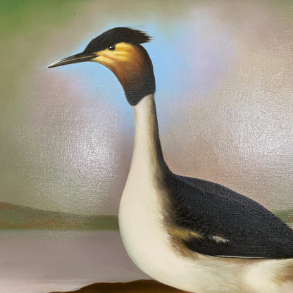 "Crested Grebe" Oil on Canvas, by P. (Paul) English