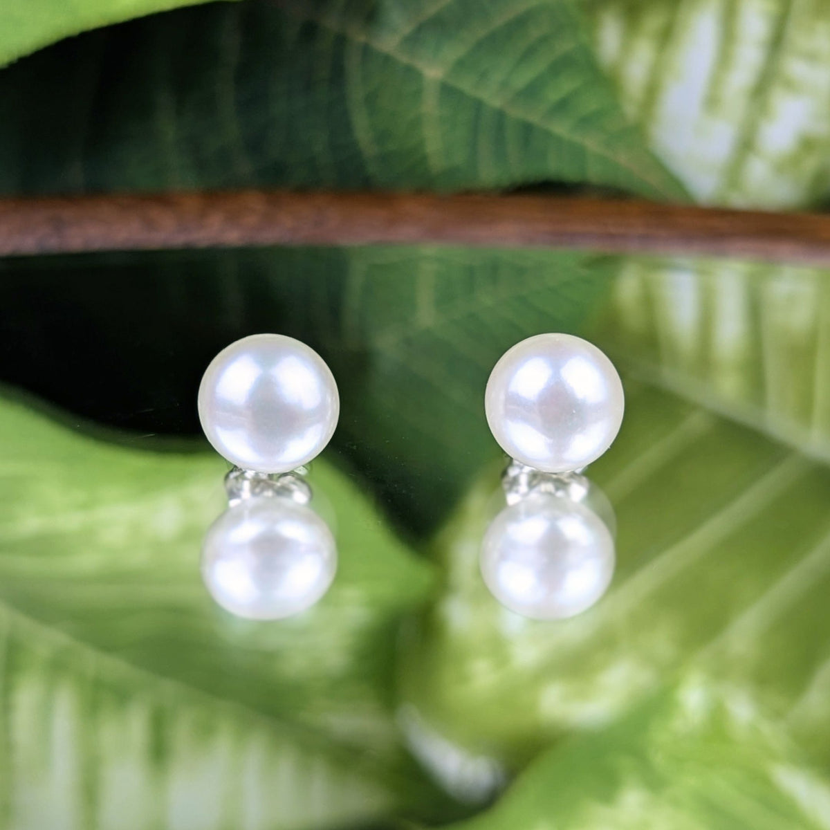 Sterling 8mm Button Pearl Stud Earrings