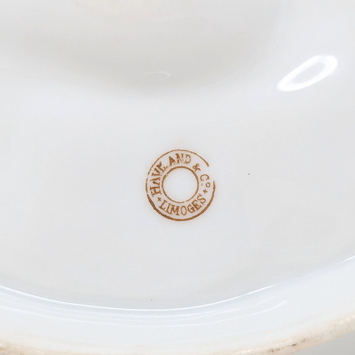1880's Limoges French Turkey Oyster Plate