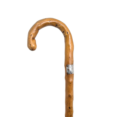 Personal Cane of Langdon Albright Buffalo New York, 1955