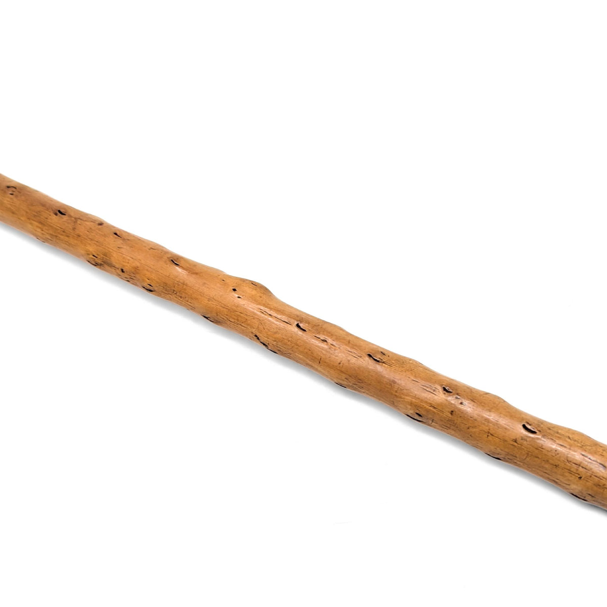 Personal Cane of Langdon Albright Buffalo New York, 1955