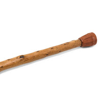 Personal Cane of Langdon Albright Buffalo New York, 1955
