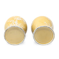 Pair of Pâte-sur-Pâte Porcelain Vases with Decorative Wood Stands