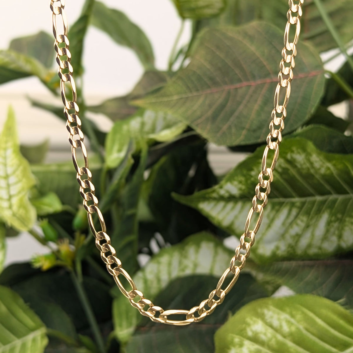 10K Gold Italian 4.4mm Figaro Link 21” Chain