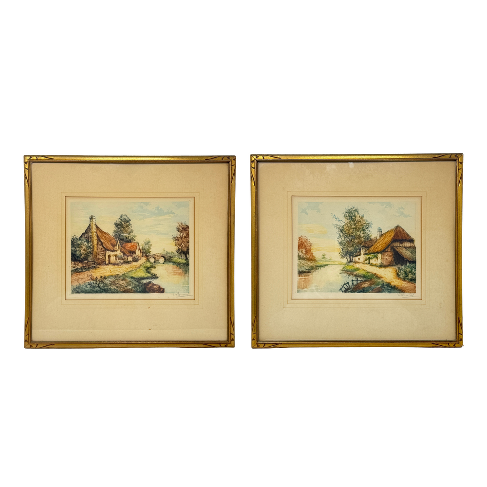 洋書 Where They Create 10000285 - Zebra 4