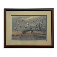 Maynard Reece "Mallards" Signed & Framed Print