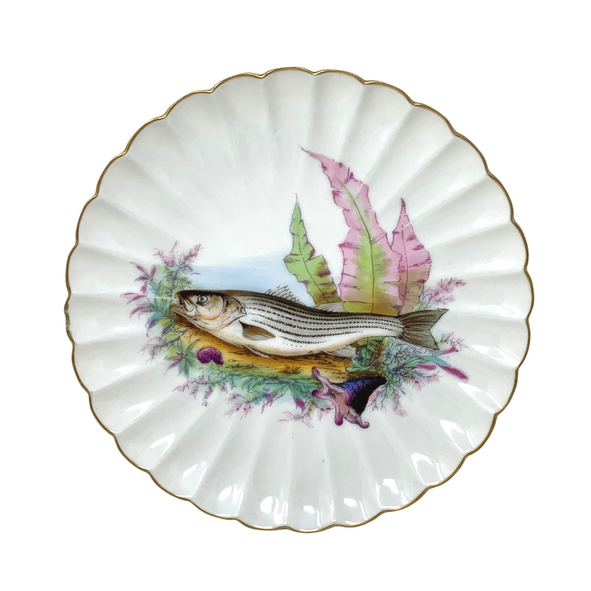 Fish Platter, Shop The Largest Collection