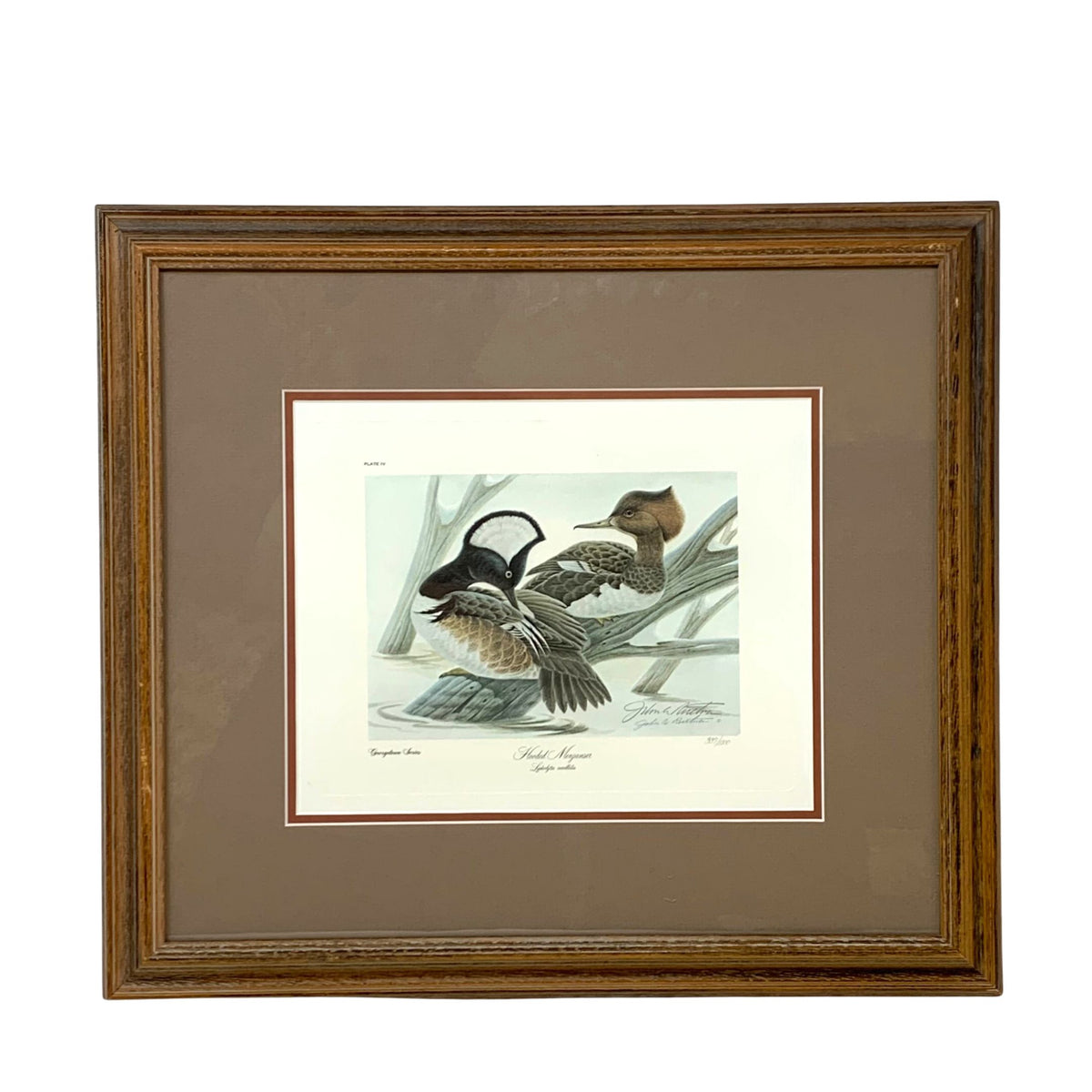 John A. Ruthven "Hooded Merganser" Signed 15"x 17" Framed Print