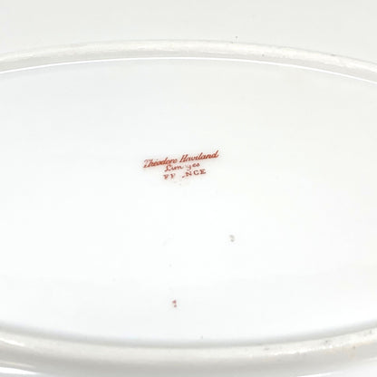 Theodore Haviland Limoges, France H3834 18" Platter