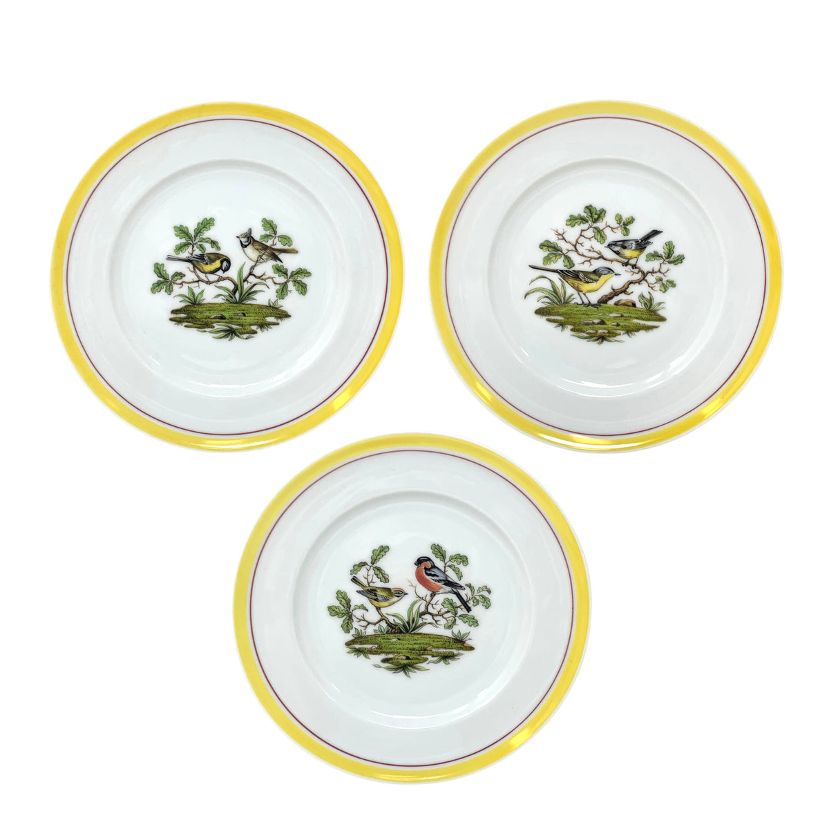 Royal Bayreuth "Wood Song" Demitasse Cup, Saucer & Salad Plate Set (18pcs)