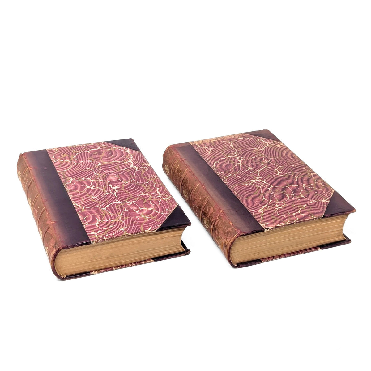 The Rise of the Dutch Republic by John Lothrop Motley, 2 Volumes