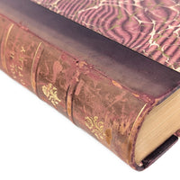 The Rise of the Dutch Republic by John Lothrop Motley, 2 Volumes