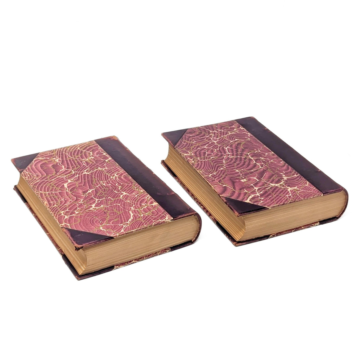 The Rise of the Dutch Republic by John Lothrop Motley, 2 Volumes