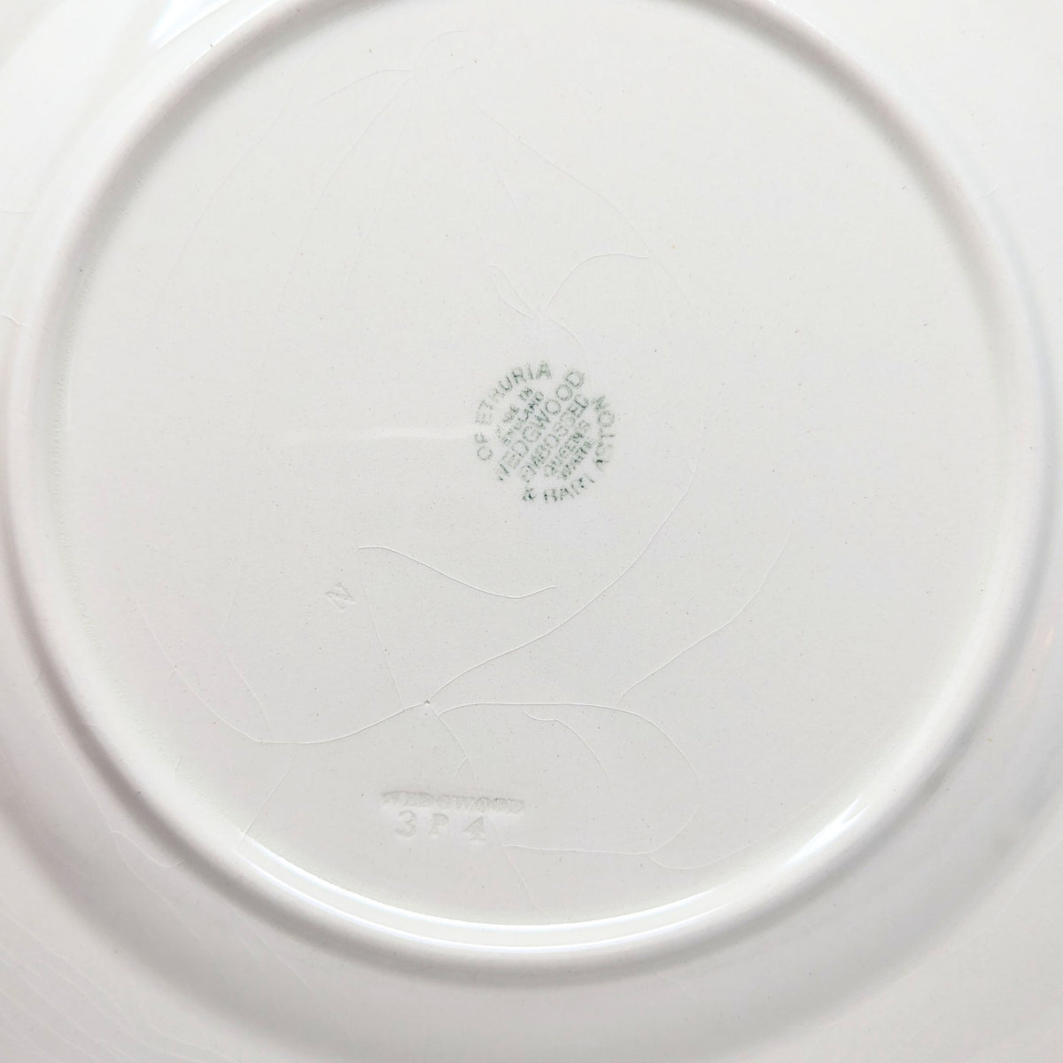 Wedgwood "Lavender on Cream" Shell Edge 10 5/8" Dinner Plates (Set of 4)