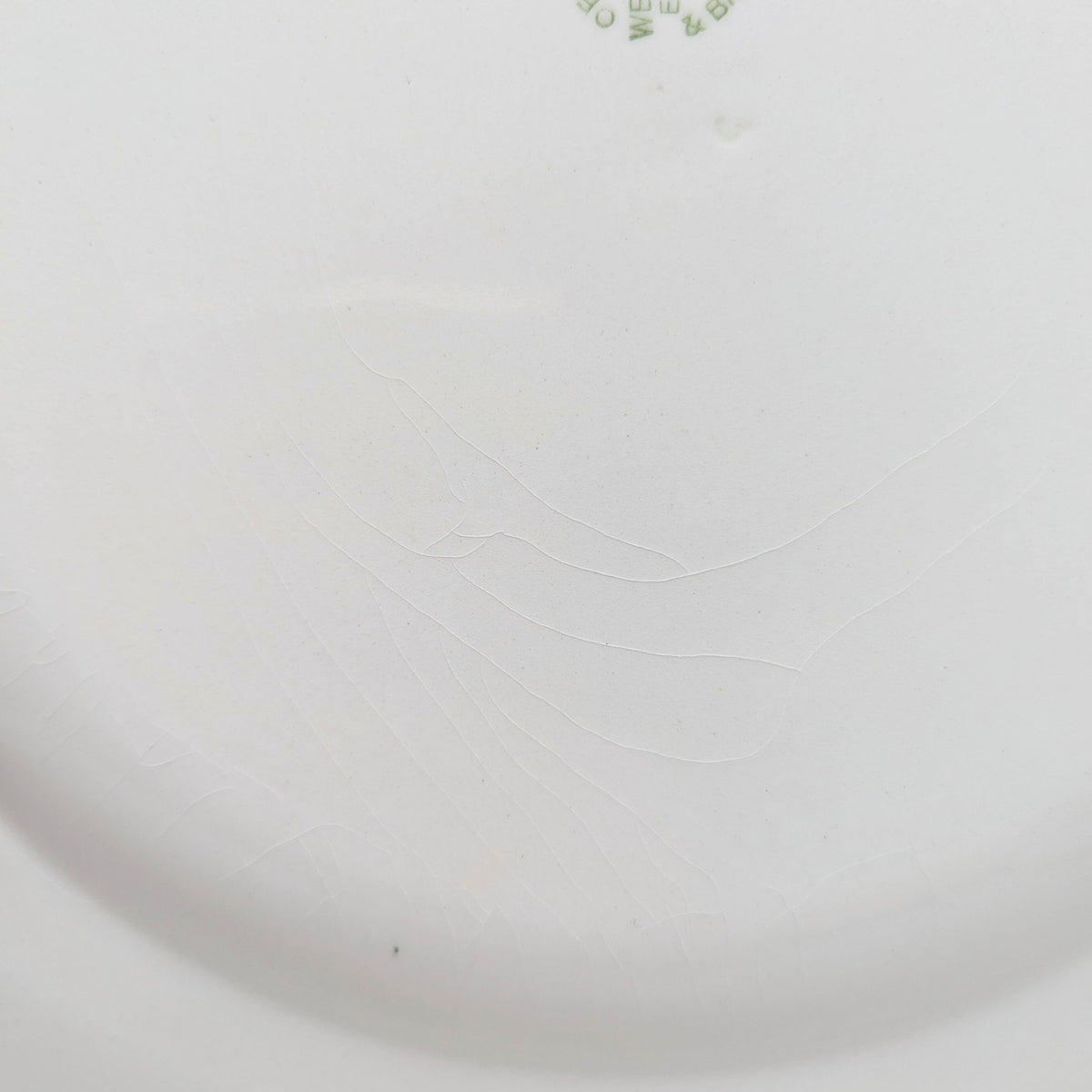 Wedgwood "Lavender on Cream" Shell Edge Dinner Plates (Set of 5)