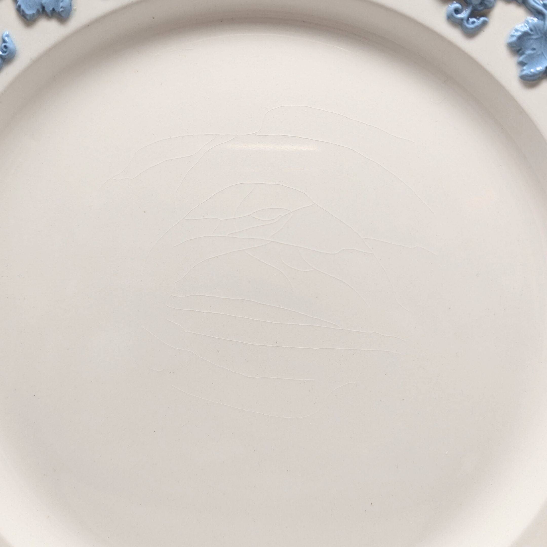 Wedgwood Shell Edge Dinner Plates - Thumbnail 3