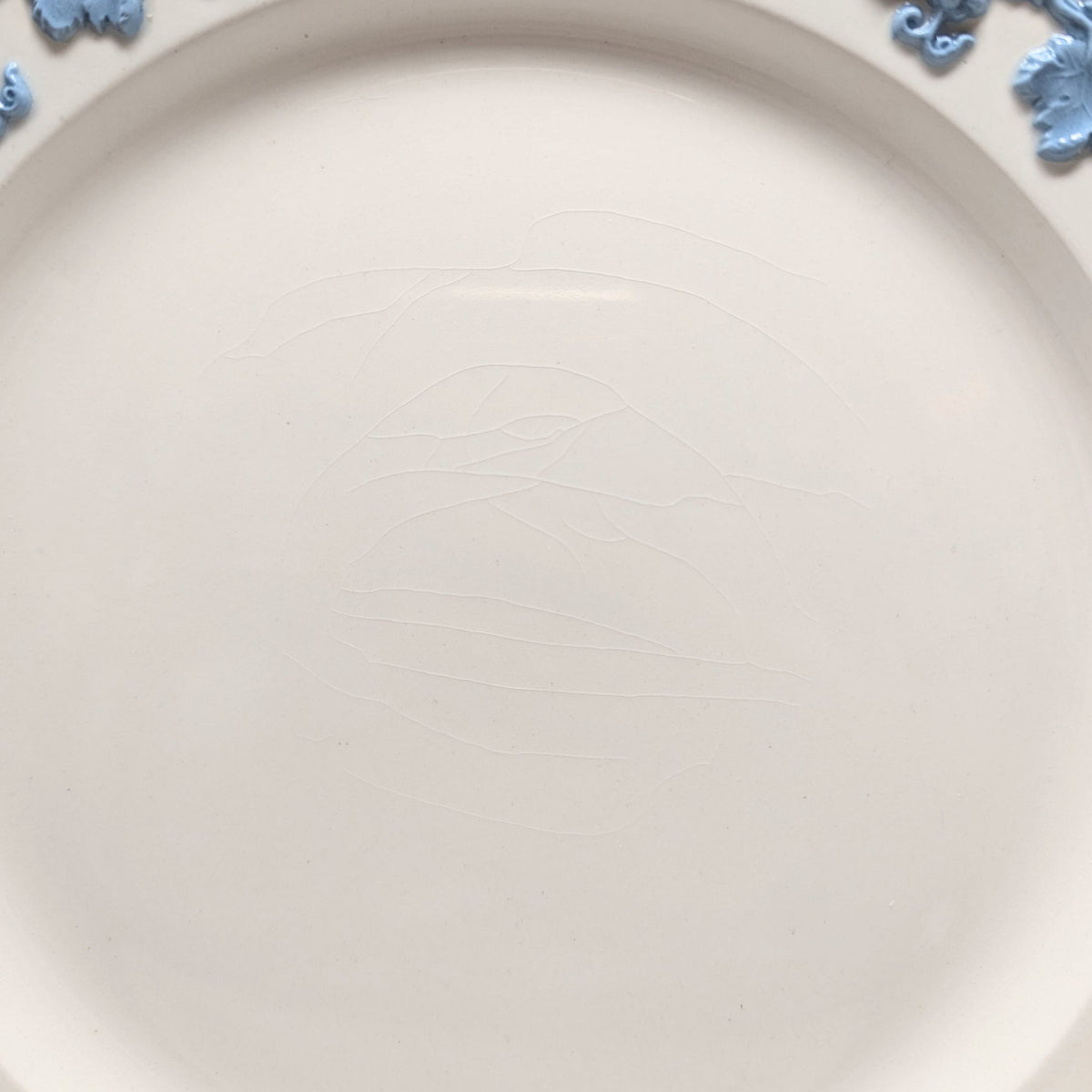 Wedgwood "Lavender on Cream" Shell Edge Dinner Plates (Set of 5)