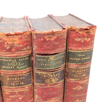 The Pocket Volume Edition of the Works of Dickens, 1880, 8 Books